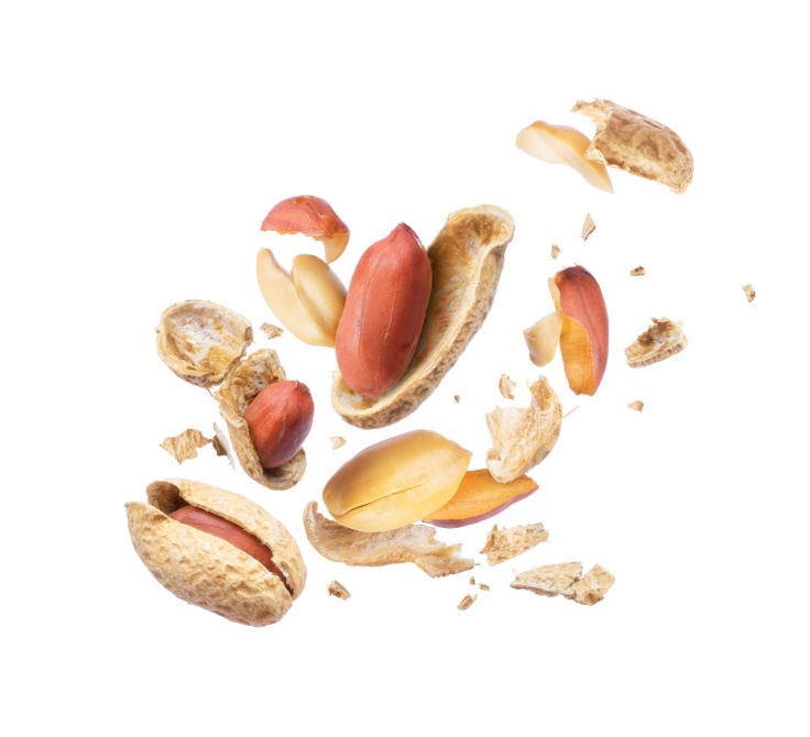 Ein Bild, das Obst, Nuss, geschnitten enthält.
Automatisch generierte Beschreibung
